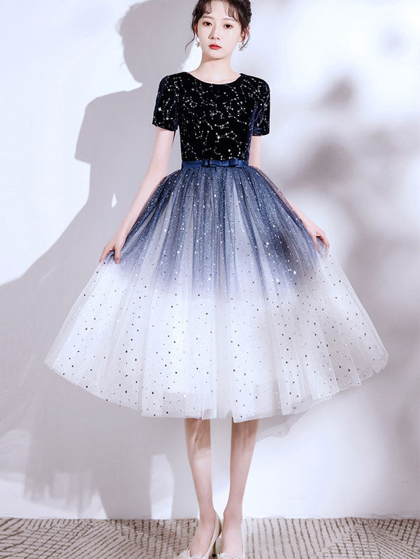 Colorblock Shimmery Tulle Evening Party Dress