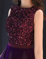 Purple Sequined A-Line Tulle Evening Party Dress