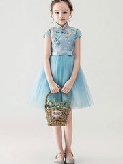 Blue Pink Embroidered Flower Girl Cheongsam Dress