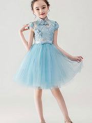Blue Pink Embroidered Flower Girl Cheongsam Dress