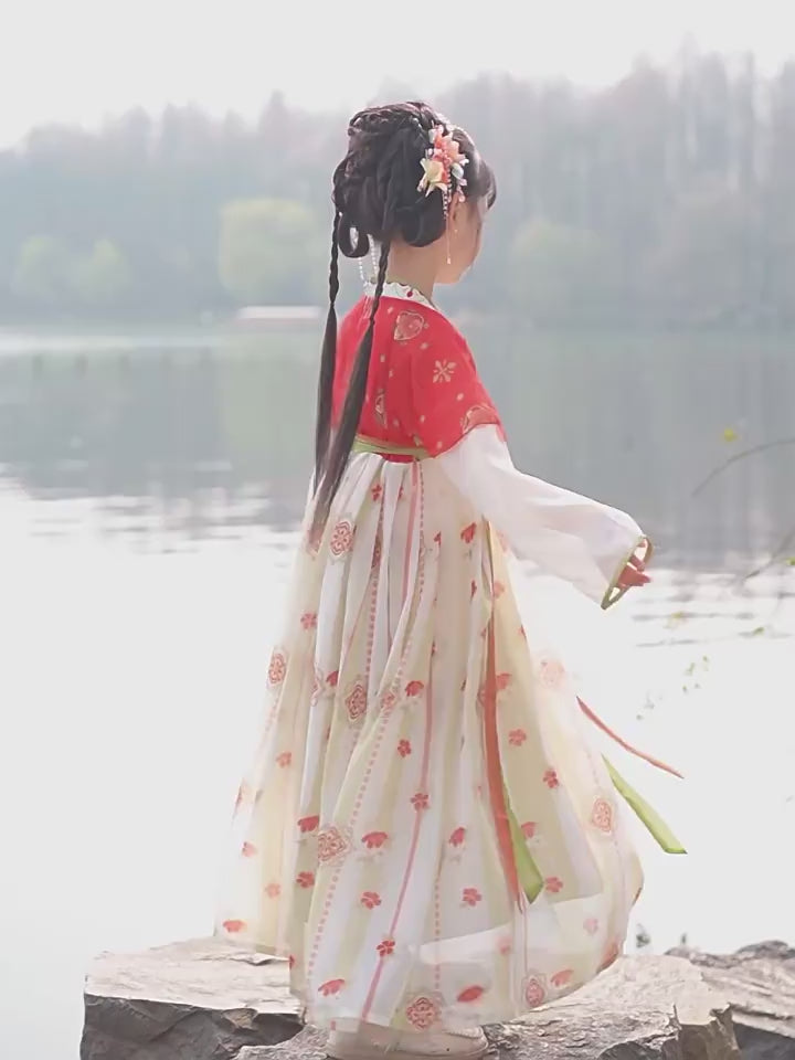 Blue Red Embroidered Floral Kids Girls Ancient Hanfu 汉服 Costume Dress