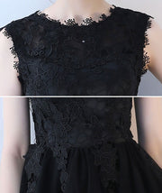 Lace A Line Mini Tulle Dress in Black Beige