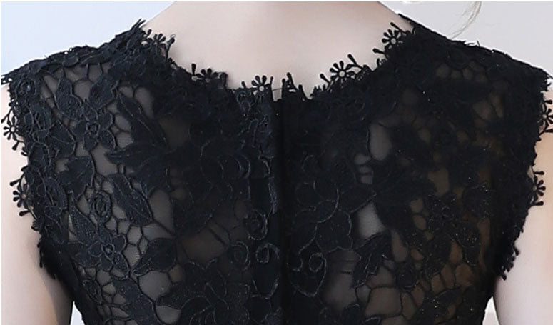 Lace A Line Mini Tulle Dress in Black Beige