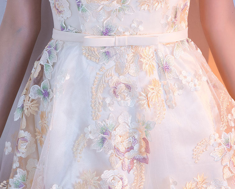 Embroidered Illusion A-line Cheongsam Qi Pao Dress