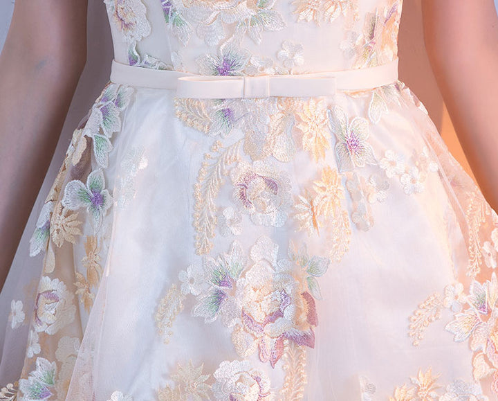 Embroidered Illusion A-line Cheongsam Qi Pao Dress