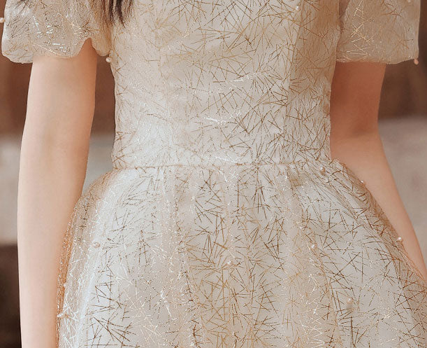 Beaded Bronzing Stripe Fit & Flare Puff Sleeve Dress